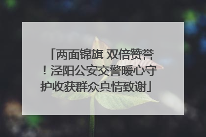 两面锦旗 双倍赞誉！泾阳公安交警暖心守护收获群众真情致谢