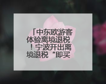 中东欧游客体验离境退税！宁波开出离境退税“即买即退”首单