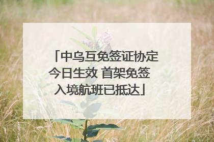 中乌互免签证协定今日生效 首架免签入境航班已抵达