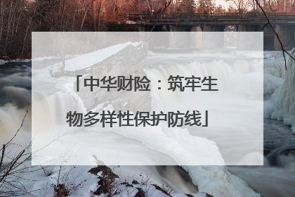 中华财险：筑牢生物多样性保护防线