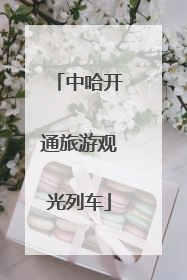 中哈开通旅游观光列车