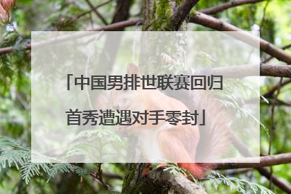 中国男排世联赛回归首秀遭遇对手零封