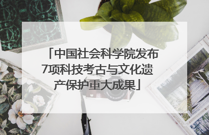 中国社会科学院发布7项科技考古与文化遗产保护重大成果