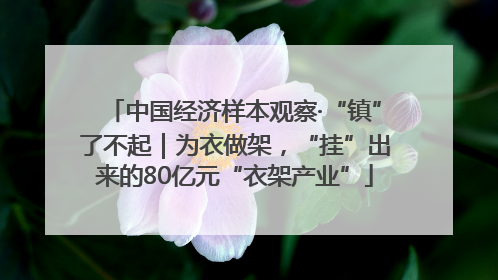 中国经济样本观察·“镇”了不起｜为衣做架，“挂”出来的80亿元“衣架产业”