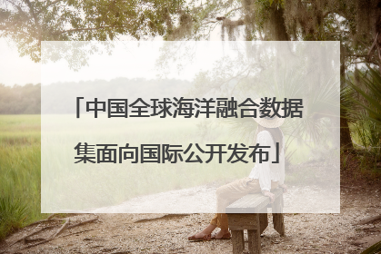 中国全球海洋融合数据集面向国际公开发布
