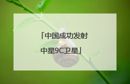 中国成功发射中星9C卫星