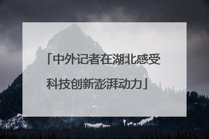 中外记者在湖北感受科技创新澎湃动力