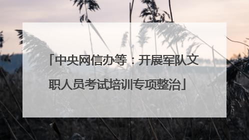 中央网信办等：开展军队文职人员考试培训专项整治