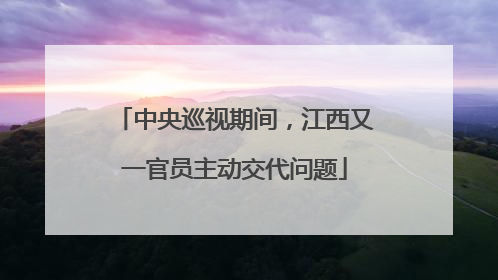 中央巡视期间，江西又一官员主动交代问题