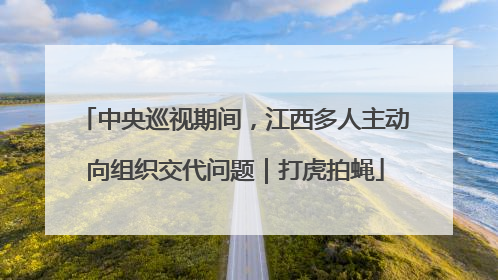 中央巡视期间，江西多人主动向组织交代问题｜打虎拍蝇