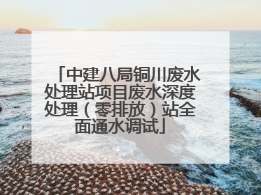 中建八局铜川废水处理站项目废水深度处理（零排放）站全面通水调试