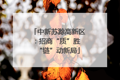 中新苏滁高新区：招商“质”胜 “链”动新局