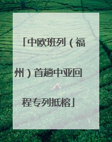中欧班列（福州）首趟中亚回程专列抵榕