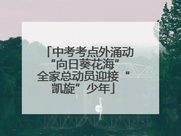 中考考点外涌动“向日葵花海” 全家总动员迎接“凯旋”少年