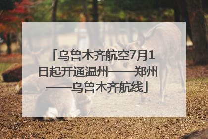 乌鲁木齐航空7月1日起开通温州——郑州——乌鲁木齐航线