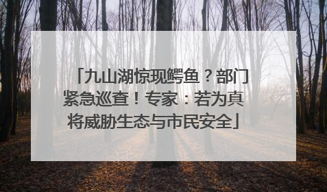 九山湖惊现鳄鱼？部门紧急巡查！专家：若为真将威胁生态与市民安全