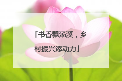 书香飘汤溪，乡村振兴添动力