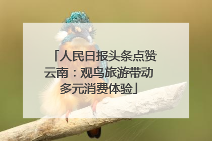 人民日报头条点赞云南：观鸟旅游带动多元消费体验