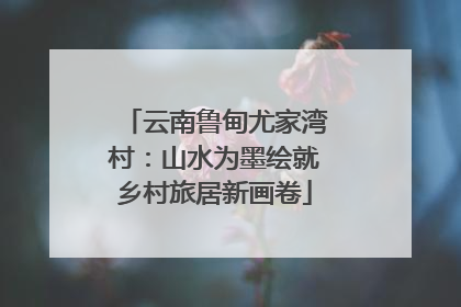 云南鲁甸尤家湾村：山水为墨绘就乡村旅居新画卷