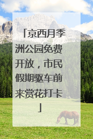 京西月季洲公园免费开放，市民假期驱车前来赏花打卡