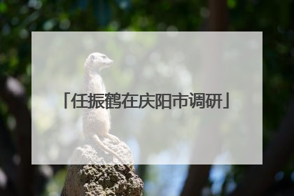 任振鹤在庆阳市调研