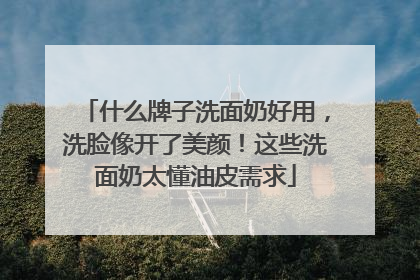 什么牌子洗面奶好用，洗脸像开了美颜！这些洗面奶太懂油皮需求