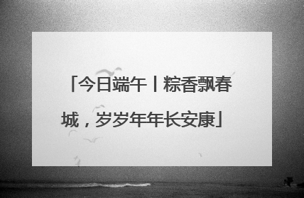今日端午丨粽香飘春城，岁岁年年长安康