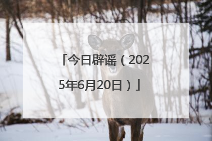 今日辟谣（2025年6月20日）