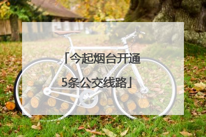 今起烟台开通5条公交线路