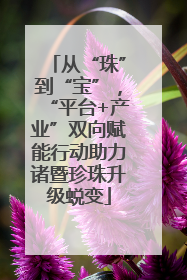 从“珠”到“宝”，“平台+产业”双向赋能行动助力诸暨珍珠升级蜕变