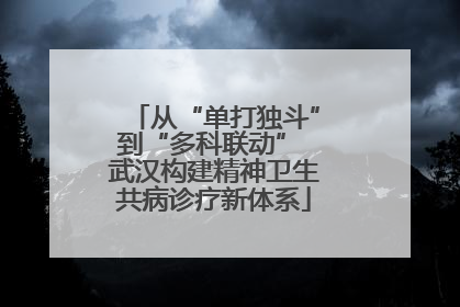 从“单打独斗”到“多科联动” 武汉构建精神卫生共病诊疗新体系