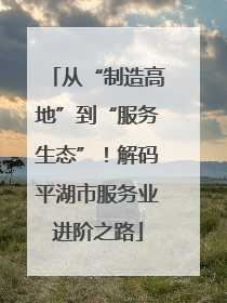 从“制造高地”到“服务生态”！解码平湖市服务业进阶之路
