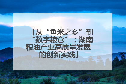从“鱼米之乡”到“数字粮仓”：湖南粮油产业高质量发展的创新实践