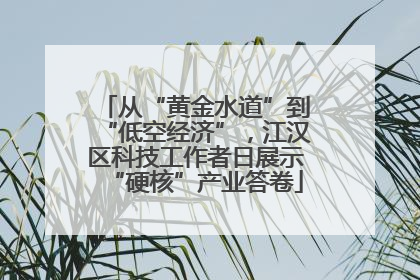 从“黄金水道”到“低空经济”，江汉区科技工作者日展示“硬核”产业答卷