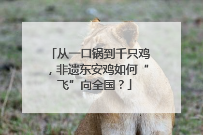 从一口锅到千只鸡，非遗东安鸡如何“飞”向全国？