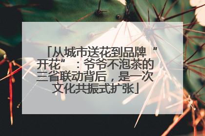 从城市送花到品牌“开花”：爷爷不泡茶的三省联动背后，是一次文化共振式扩张