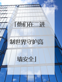 他们在二进制世界守护高墙安全