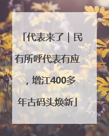 代表来了｜民有所呼代表有应，增江400多年古码头焕新
