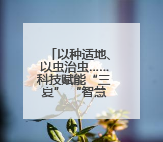 以种适地、以虫治虫……科技赋能“三夏” “智慧种地”绘就好“丰”景