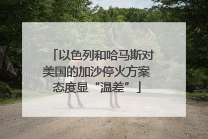 以色列和哈马斯对美国的加沙停火方案态度显“温差”