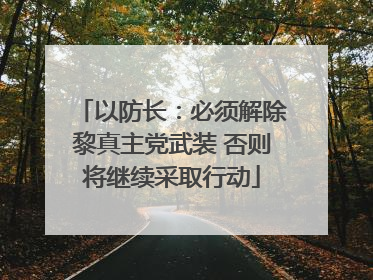 以防长：必须解除黎真主党武装 否则将继续采取行动