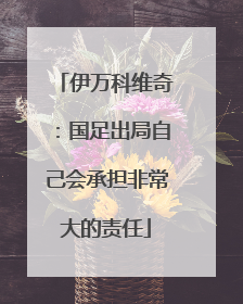 伊万科维奇：国足出局自己会承担非常大的责任