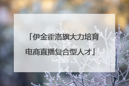 伊金霍洛旗大力培育电商直播复合型人才