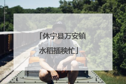 休宁县万安镇水稻插秧忙