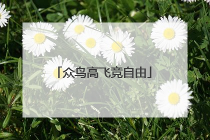 众鸟高飞竞自由