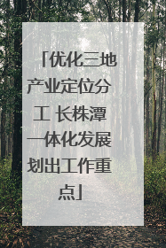 优化三地产业定位分工 长株潭一体化发展划出工作重点