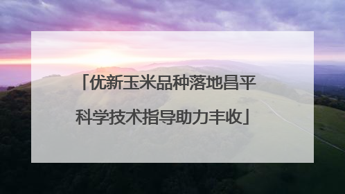 优新玉米品种落地昌平 科学技术指导助力丰收