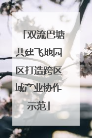 双流巴塘共建飞地园区打造跨区域产业协作示范