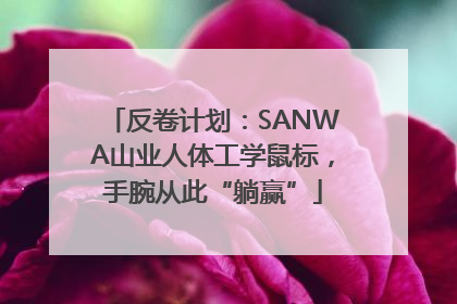 反卷计划：SANWA山业人体工学鼠标，手腕从此“躺赢”