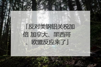 反对美钢铝关税加倍 加拿大、墨西哥、欧盟反应来了